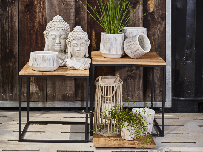 Chinoh - zen in de tuin