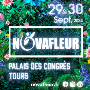 novafleur